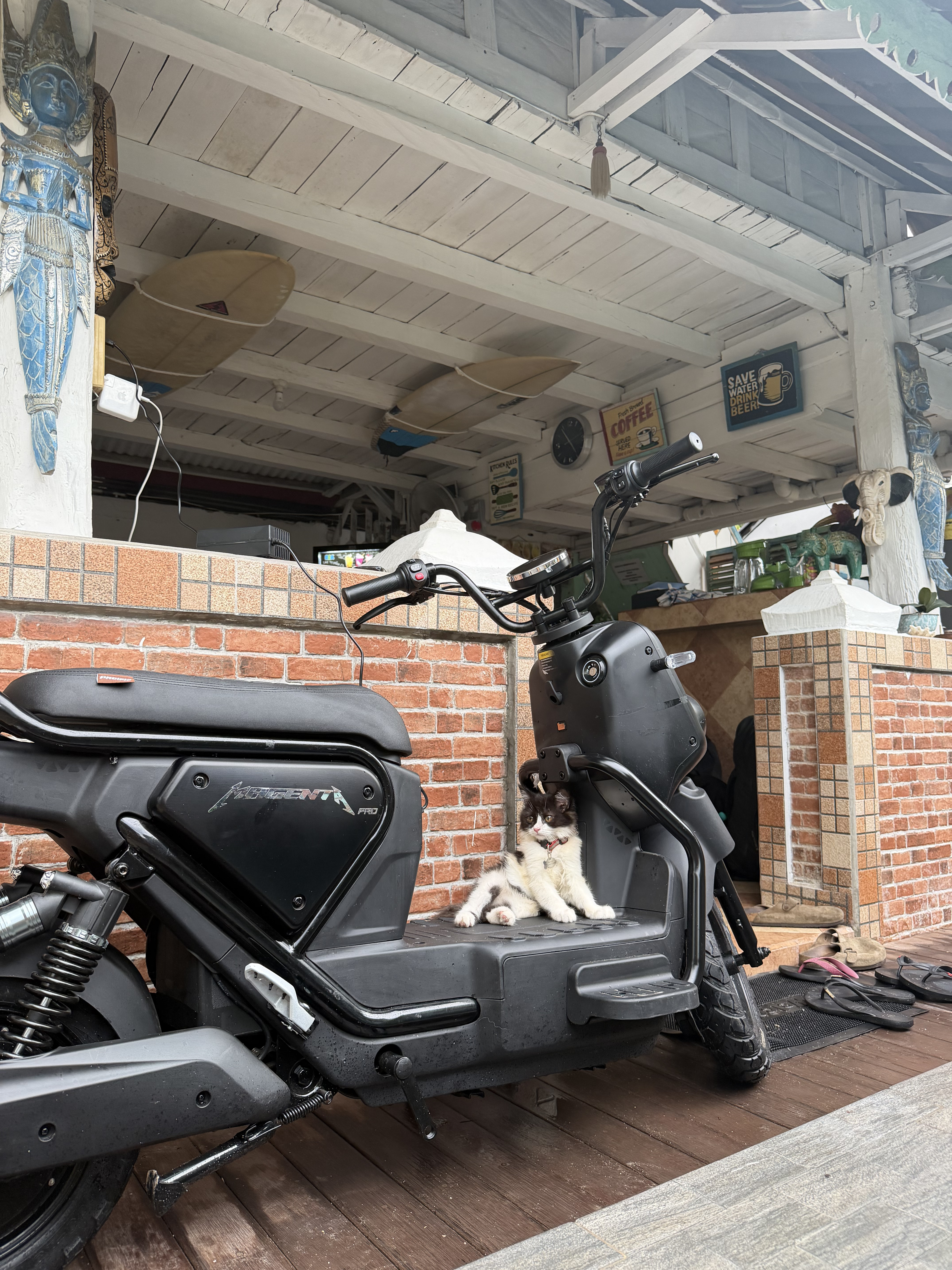Scooter rental