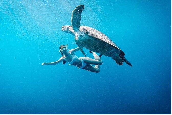 Snorkeling