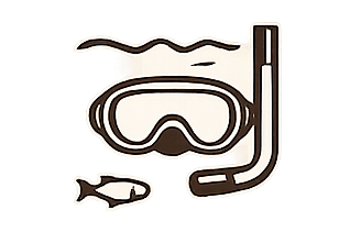 Snorkeling