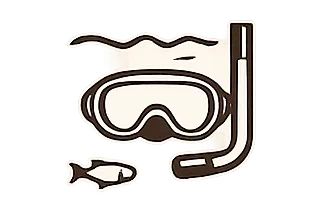 Snorkeling in the Gili Islands