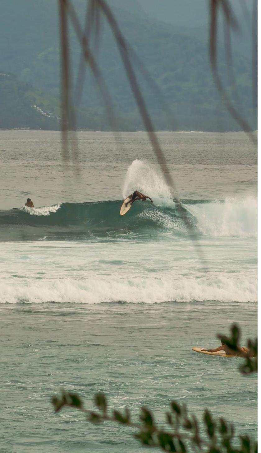 Surfing